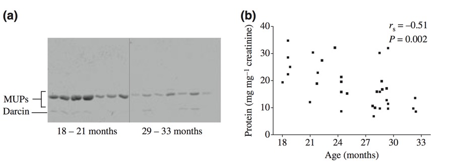 Screen Shot 2011-08-24 at 08.17.30